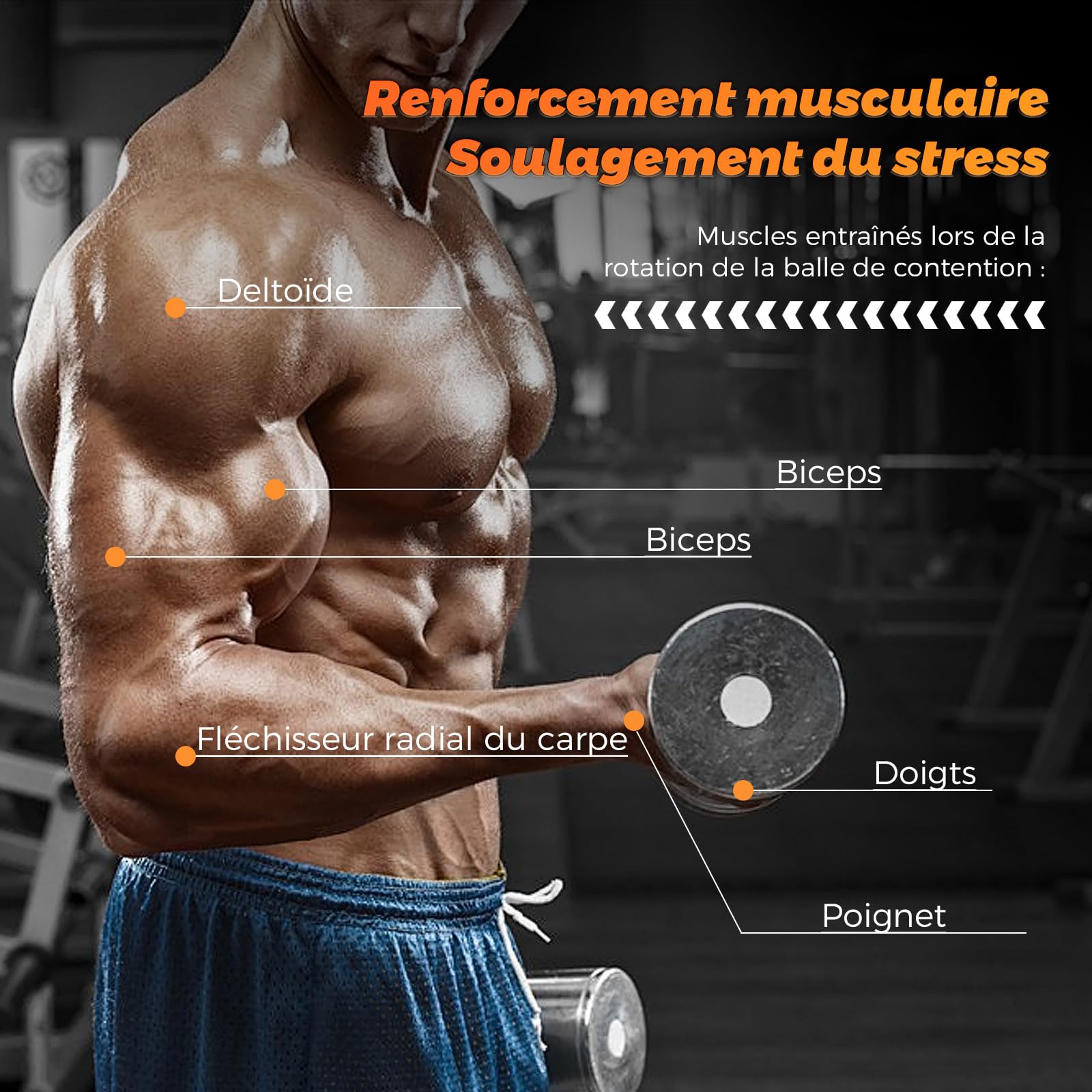 Boule de Gymnastique en Métal Plein, Balle d'entraînement pour Poignets, Départ Automatique, Résistance à 5 Niveaux, Entraîneur d'avant-bras Gyroscopique, pour le Renforcement des Bras, des