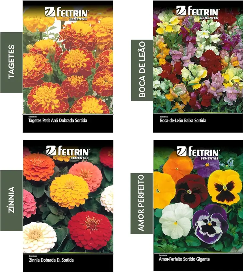 Kit com 4 sementes para flores lindas e variadas no jardim