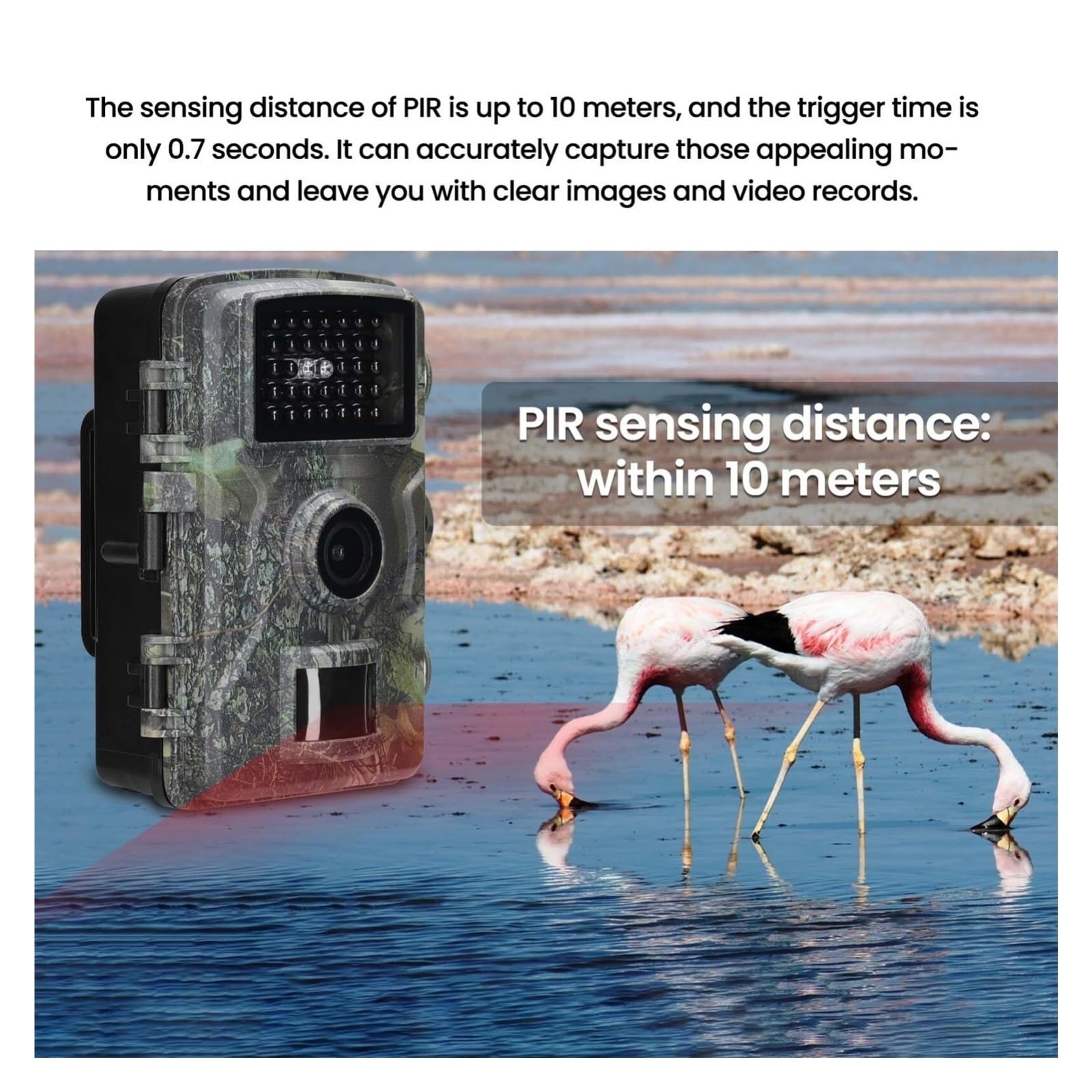 Cámara Vida Silvestre Cámara De Caza Al Aire Libre Uso Diurno Y Nocturno Rastreo 2.0in IP66 A Prueba Agua 1080P HD Exterior For Supervisión Granjas Monitoreo Confiable Preciso