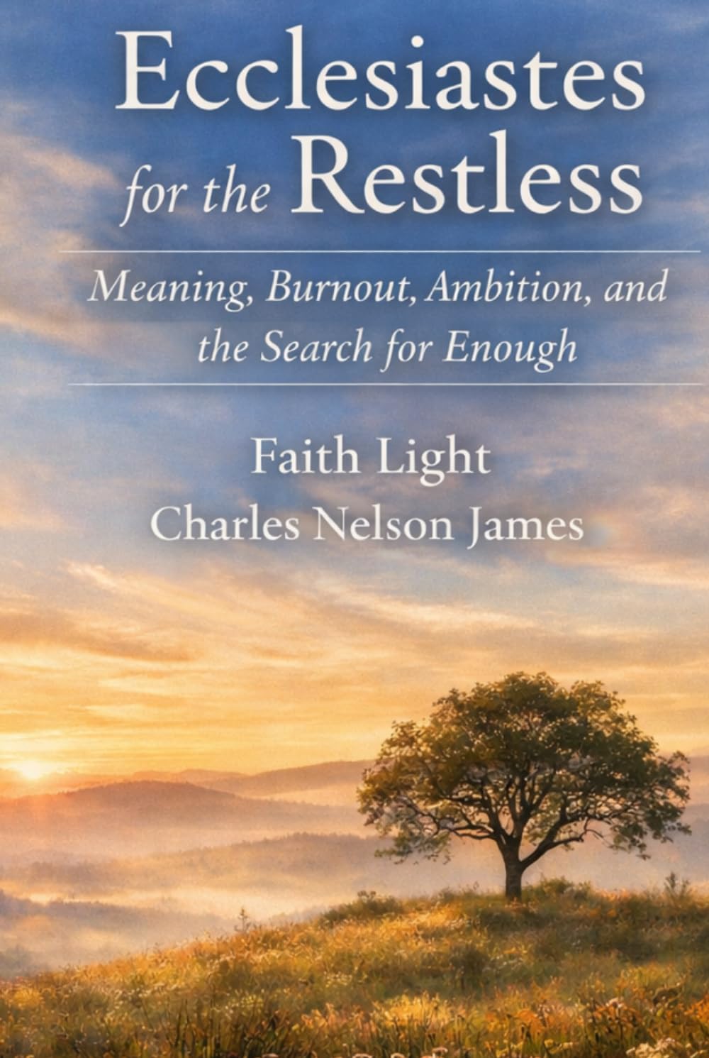 Ecclesiastes for the Restless: Meaning, Burnout, Ambition, and the Search for Enough