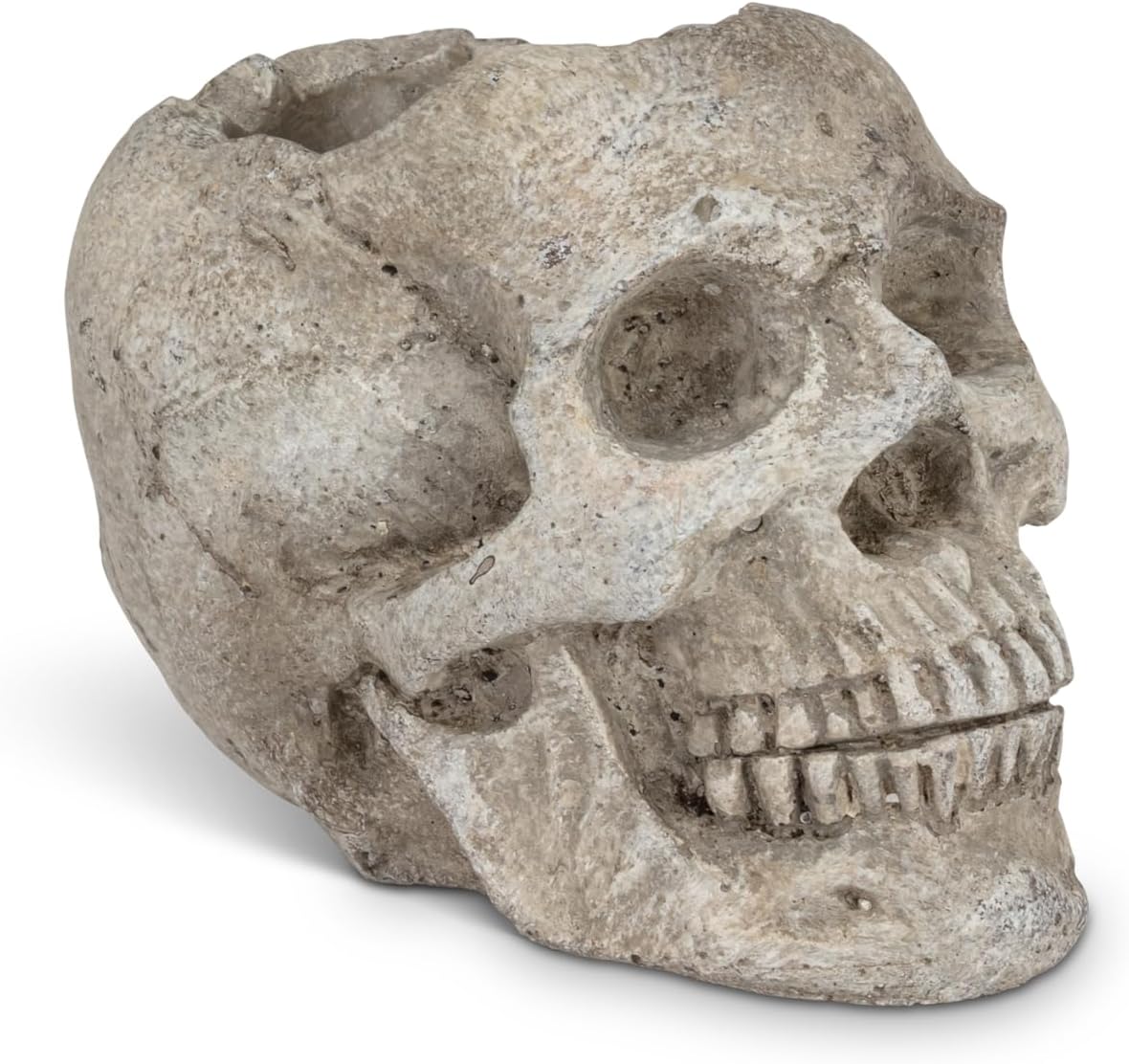 Abbott Collection Skull Cement Planter/Tealight Holder - Grey, Small (3" H)