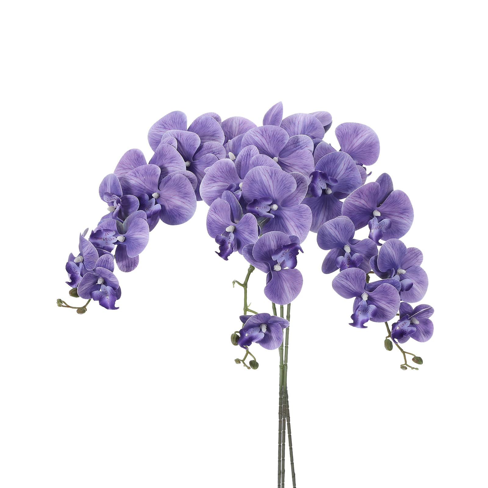 Orchidées artificielles violettes PATIKIL pour fleurir les pièces sombres sans entretien