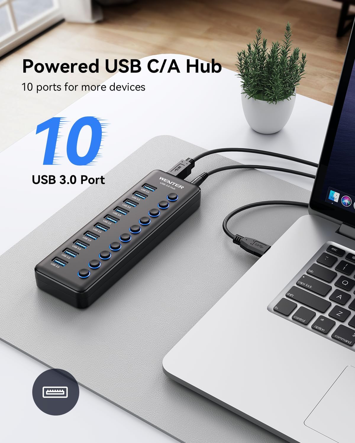 Hub USB 3.0 alimentado por 10 puertos, divisor USB con interruptores LED de encendido/apagado independientes, adaptador USB A-C y fuente de alimentación de 12 V/3 A, concentrador USB alimentado para