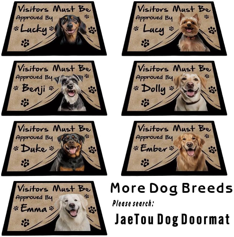 Visitors Must Be Approved Welcome Doormat Samoyed Dog Decor Funny Customized Floor Rug for Dog Lover, 27.5x17.7 Inches