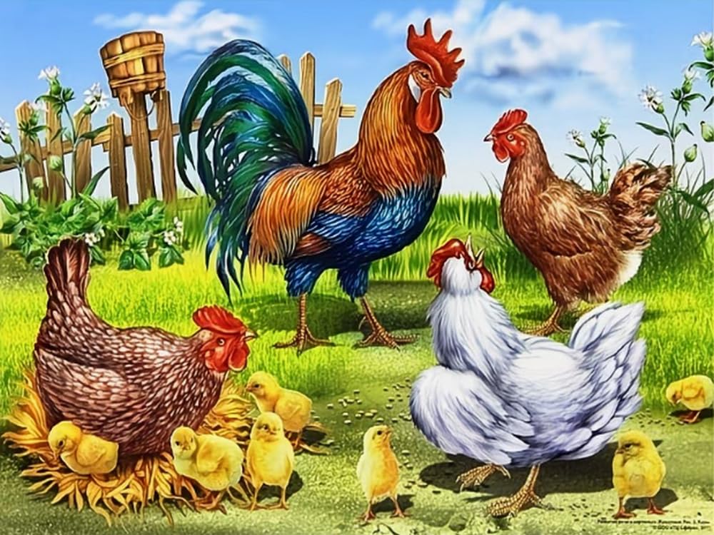 GLTEYACO Embroidery Cross Stitch Kit Chicken 11CT Stamped Cross Stitch Kits DIY Adult Beginners for Pre-Printed Needlepoint Crafts 40x50 cm
