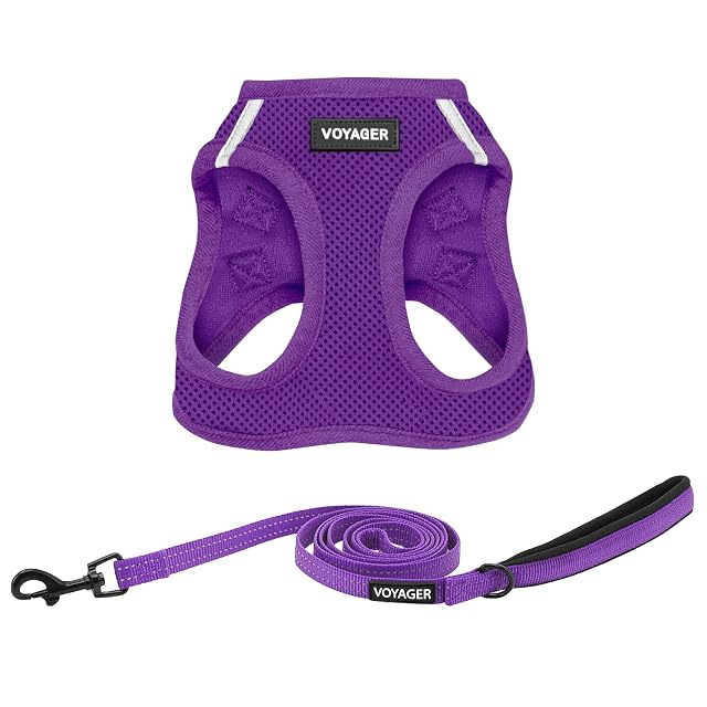 Best Pet Supplies Voyager Step-in Air