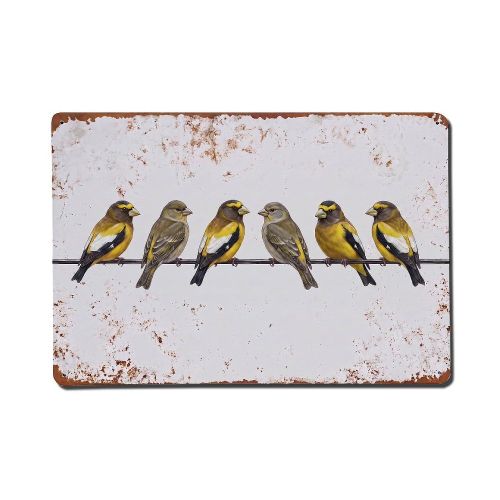 Vintage Retro Birds Evening Grosbeak Metal Tin Sign
