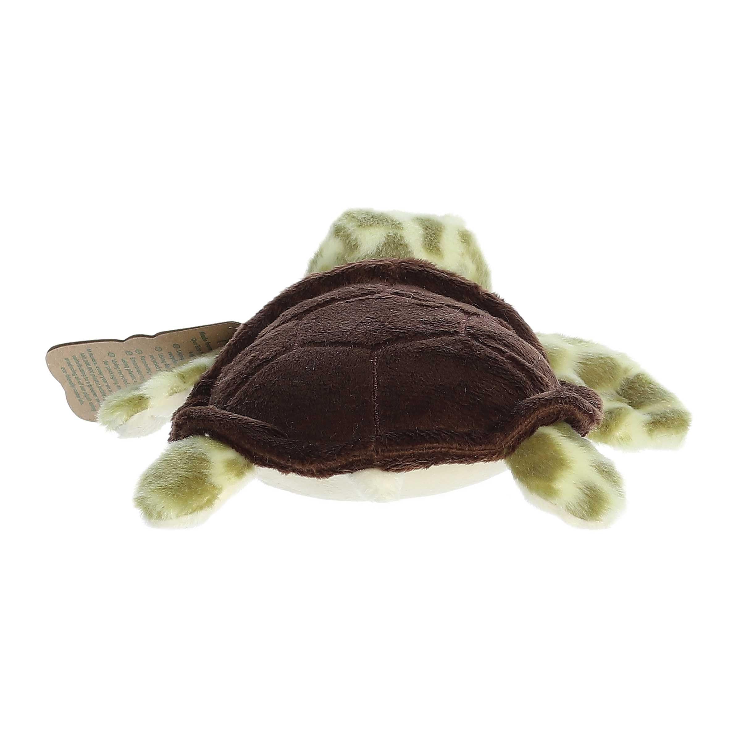 Aurora(r) Responsibly Made Eco Nation(tm) Eco Softies(tm) Sea Turtle Stuffed Animal - Ideal for Playtime Adventures - Perfect for Birthdays or Just Because - Green 8 Inches - Image 5
