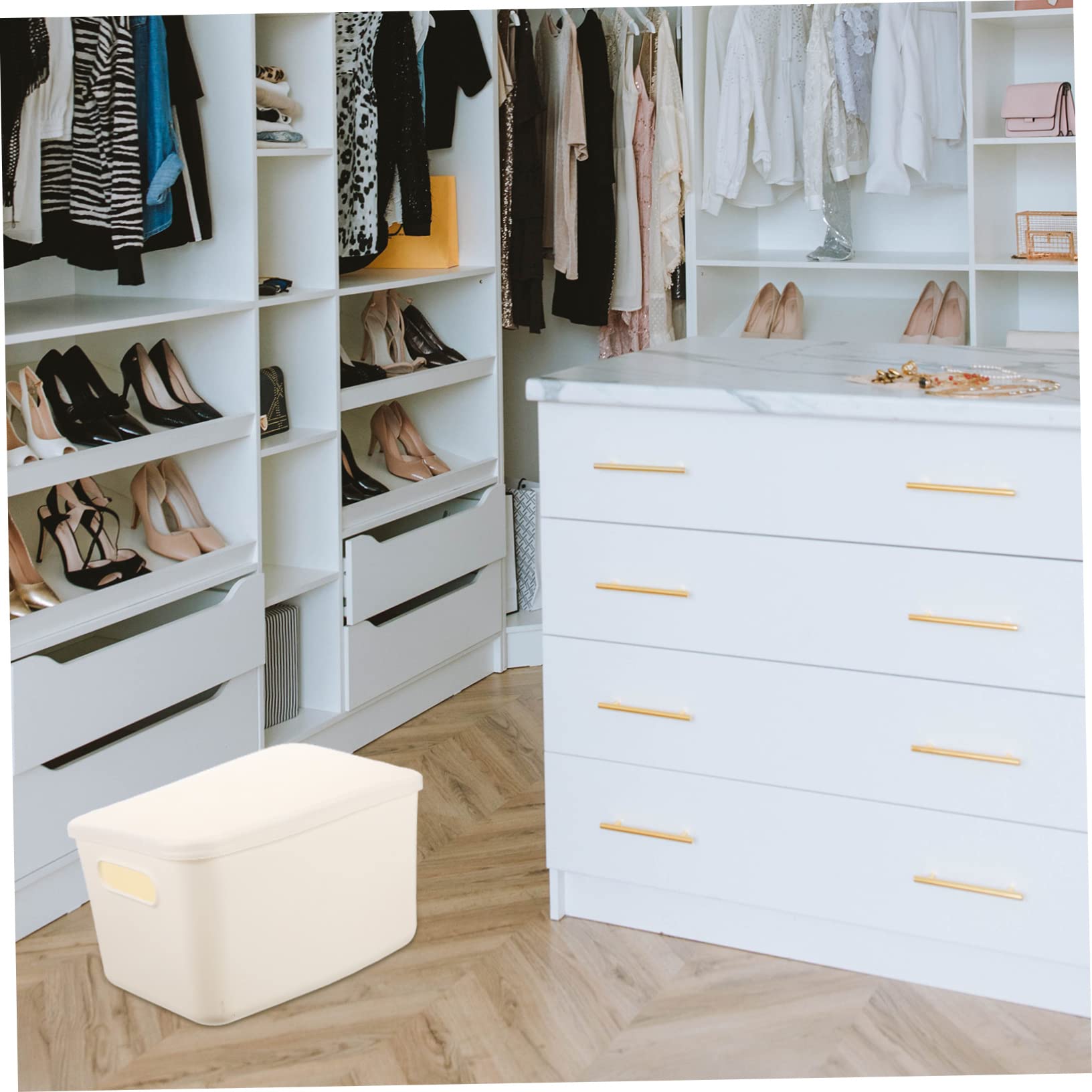 Ciieeo Boîte de Rangement pour Placard 4 Pièces en Pp Blanc avec Couvercle