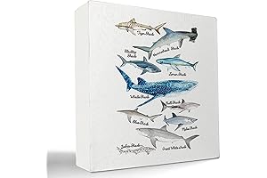Kunlisa Sea Life Shark Educational Ocean Animal Wooden Box Sign Desk Decor