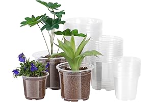 JERIA 30-Pack Clear Nursery Pots for Maximum Growth