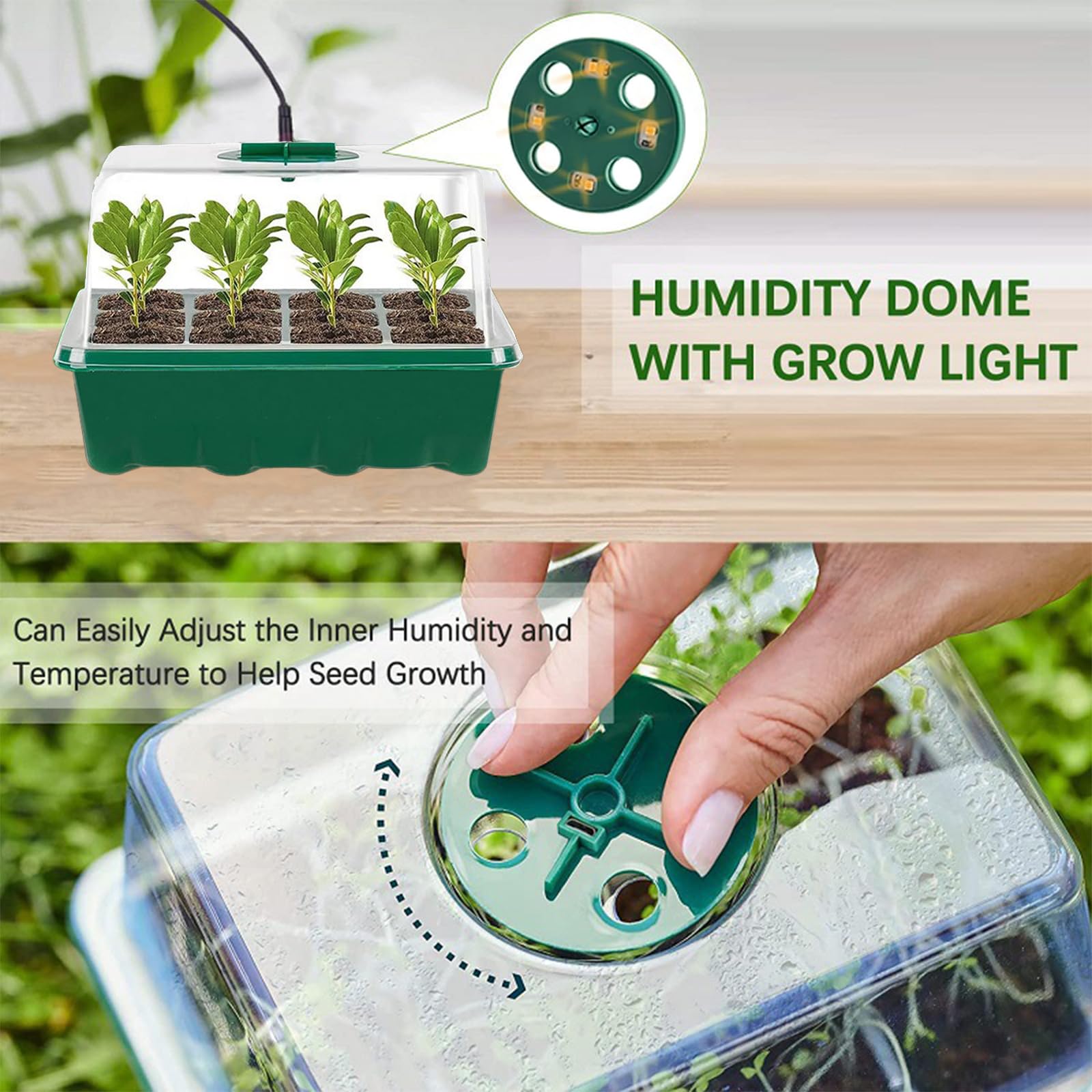 Vassoi per semina (12 celle per vassoio), kit di germinazione delle piante regolabile per l'umidità, mini propagatore a effetto serra con cupola(5 confezioni con luci)