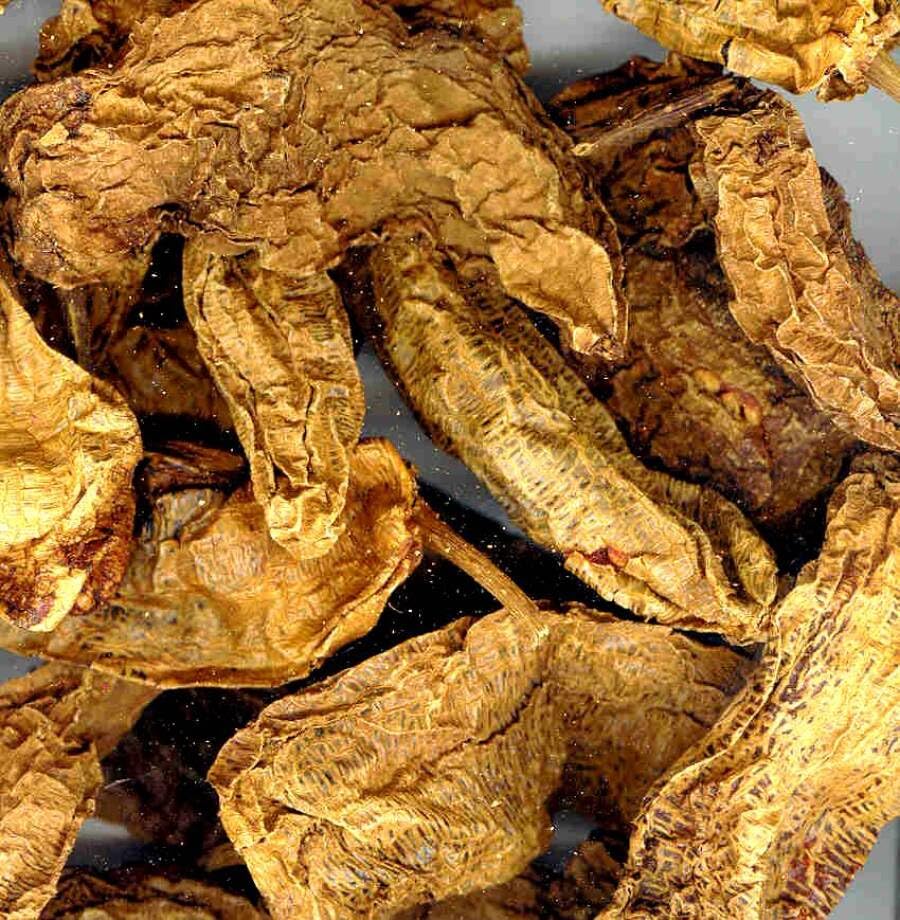 Mexican Whole Dried Chipotle Mecca Chiles - 25 Lb Case, Bulk Smoky Sweet Chiles for Chefs, Perfect for Adobo, Salsa, and BBQ Sauces