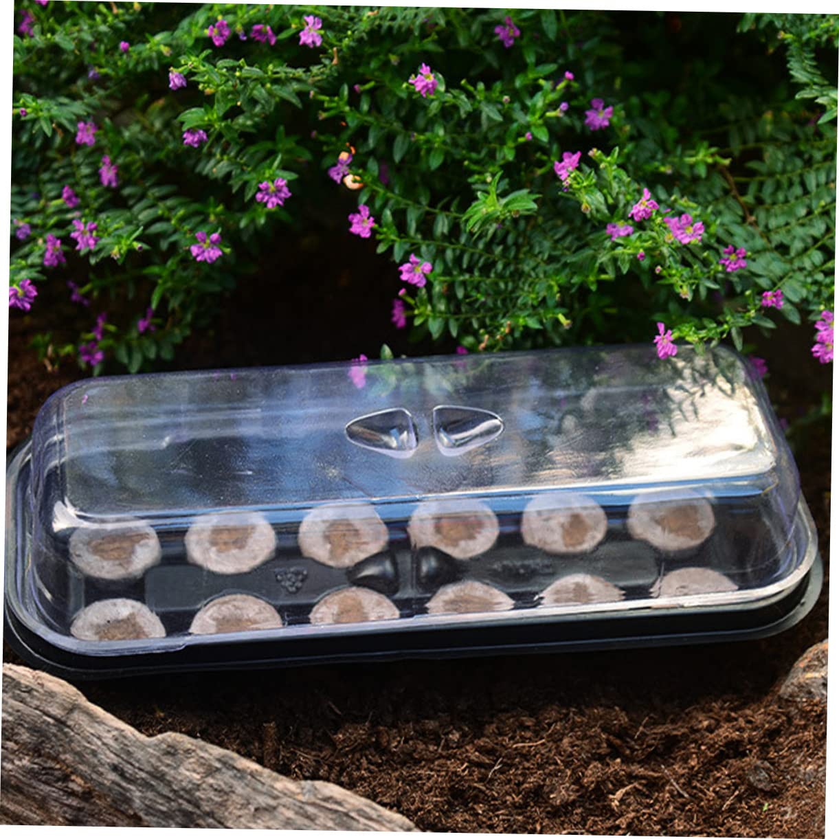 ibasenice 12 Ensembles Plateau de Semis avec Cellules et Couvercle Transparent pour Germination de Plantes et Légumes Kit de Jardinage Pratique sans Substrat