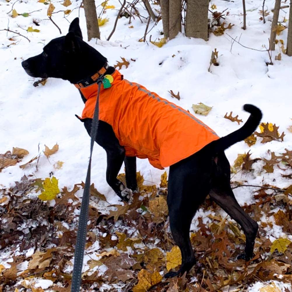 PETCEE Waterproof Dog Winter Jacket, Dog Winter Coat Windproof Warm Winter Dog Jacket for Large Dog Pet Jacket for Cold Weather - 2 Layer (Orange L) : Pet Supplies