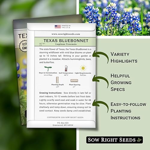 Miniatura 2 de Sow Right Seeds - Semillas de Bluebonnet Texas para plantar - Semillas de reliquia sin OMG -Instrucciones completas para plantar - Hermosas flores