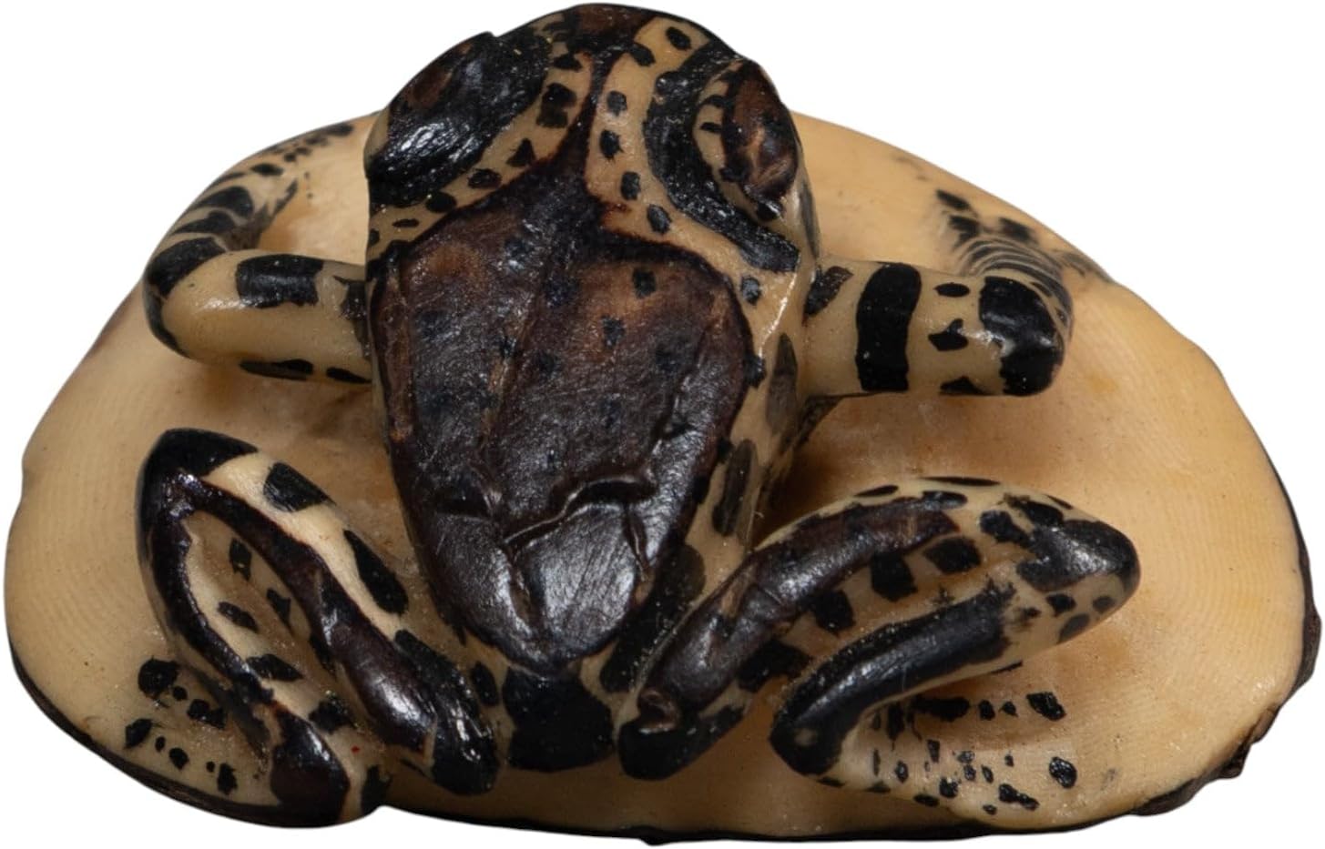 Tropical Tree Frog Tagua Nut Statue, Hand Painted Wildlife Collectible, Embera Wounaan Artisans, Panama