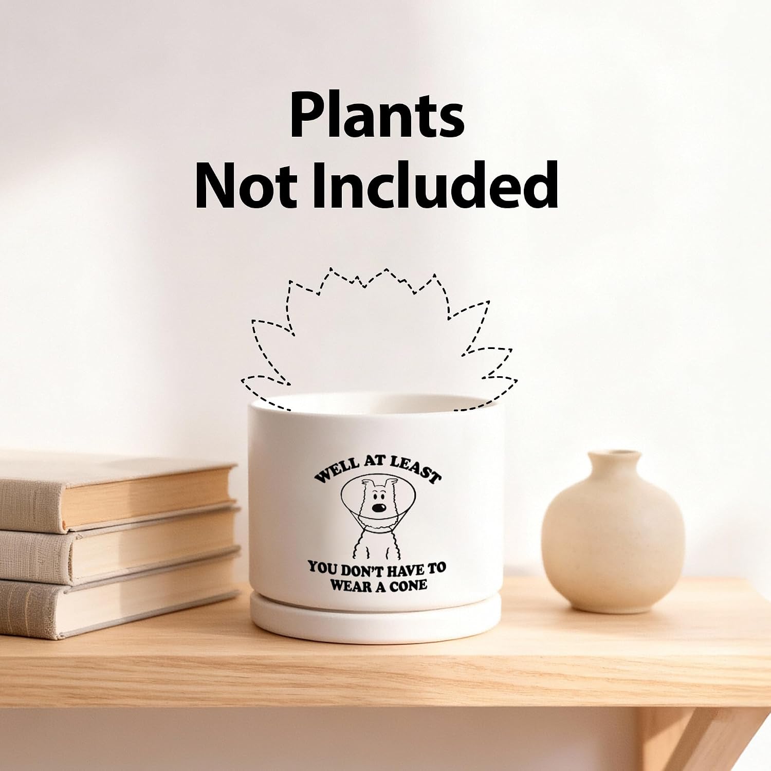 Well at Least You Don’t Have to Wear A Cone Recovery Gifts Ceramic Succulent Plant Pot with Tray Get Well Soon Gifts After Surgery Plant Lover Decor 3.5 Inch White (No Plants) (With Ceramic Tray) image 3