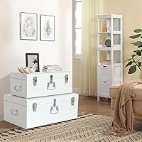 Vista 111 de Vixdonos Juego de 2 baúles decorativos de almacenamiento de caja de metal con asa (blanco con cierres de bronce)