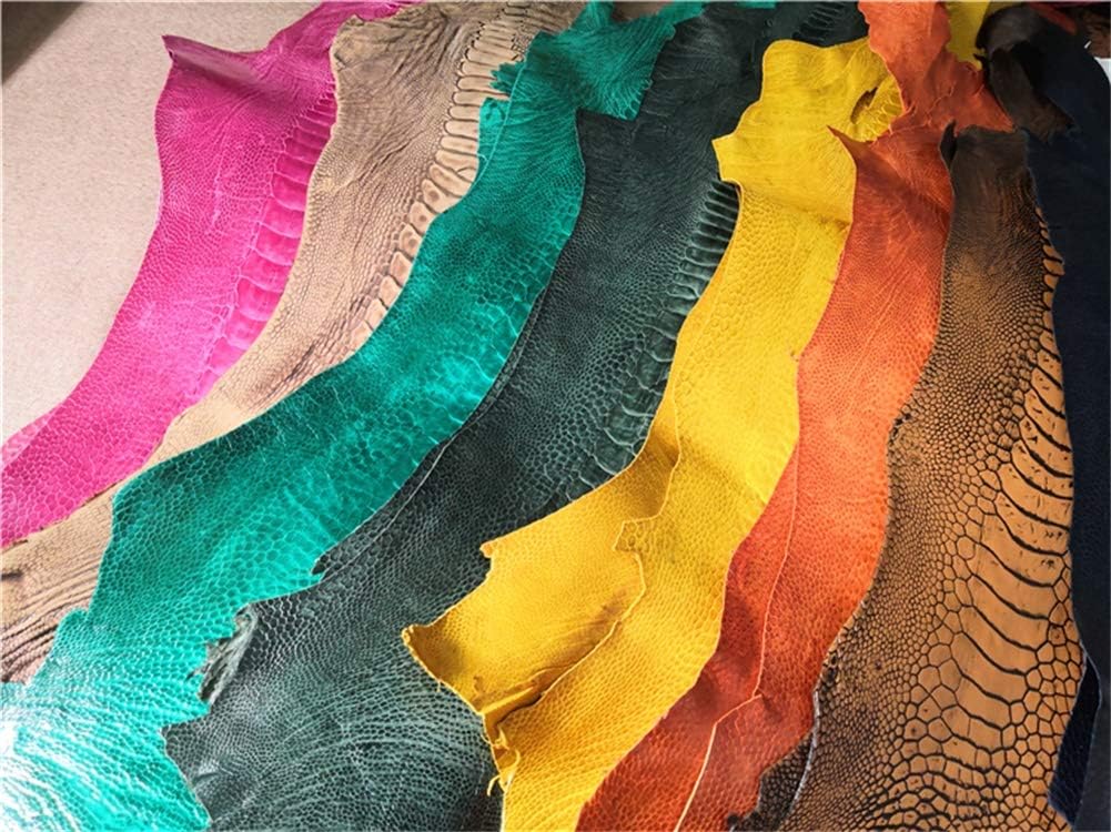 Ostrich Leg Leather Skin Hide Craft Nature Leather Whole Piece Craft Material for Wallet Handbag Decoration