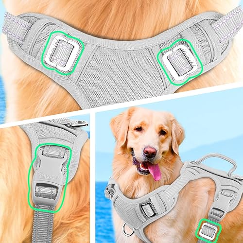Miniatura 8 de BARKBAY - Arnés sin tirones para perro reflectante con clip frontal y asa de fácil control para entrenamiento de caminata correr con bolsillo para