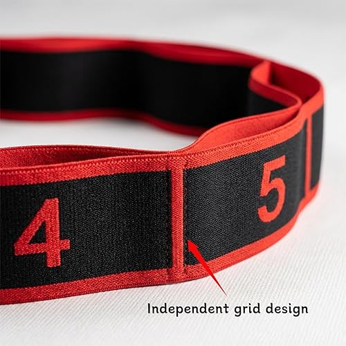 Miniatura 7 de Bandas de resistencia de fitness con asas, banda de resistencia elástica numérica con marcas claras, bandas elásticas ajustables de 8 secciones,