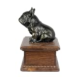 Ver la foto 3