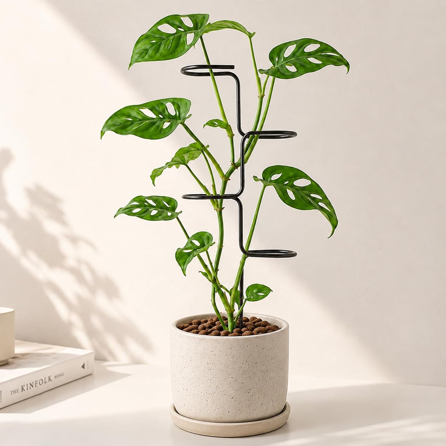 3Pcs Plant stem Supports for Indoor Plants - 17" Metal Stakes for Monstera