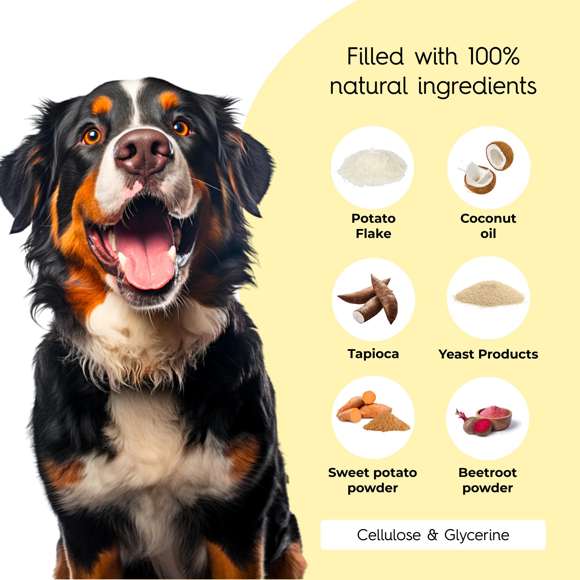 Scooch Dental Stick Chews for Dogs - Image 2