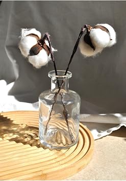 Cam Mini Vazo  effaf Dekoratif Minimal  i e 210 ml 12 cm 1 Adet