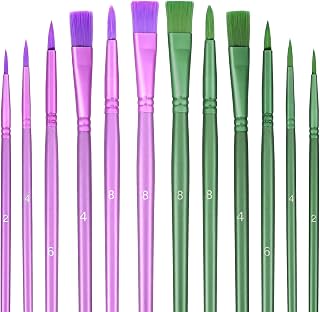 12 Pcs Nylon Paint Brush for Acrylic Painting, 2 Colors Painting Brushes Set, Watercolor Paint Brushes Professional Acrylic Brush Set for Beginners Paintings Detailed Canvas Nail Miniature Art