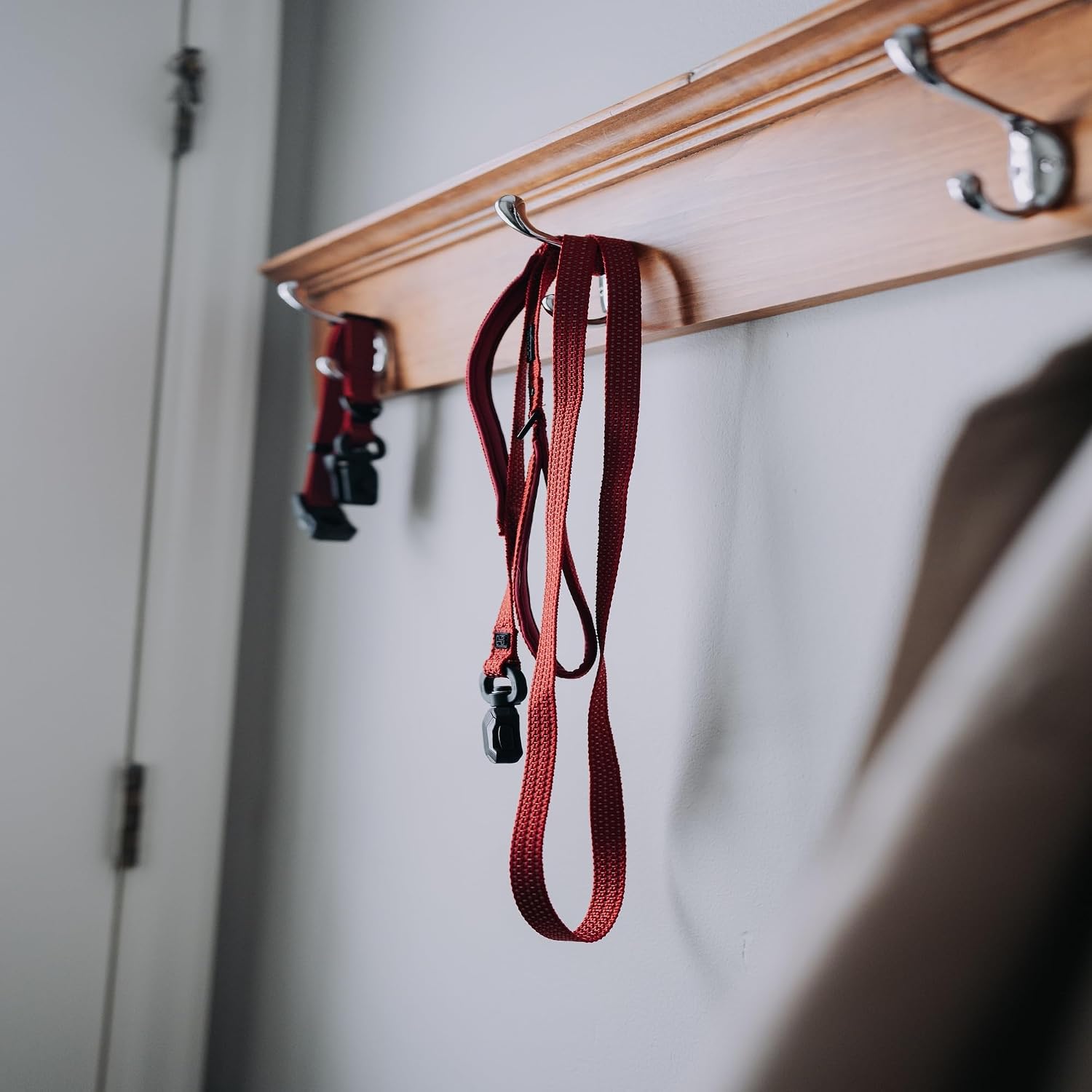 Magnetic Quick Clip: Reflective Leash - Red, Medium - 1" x 6'