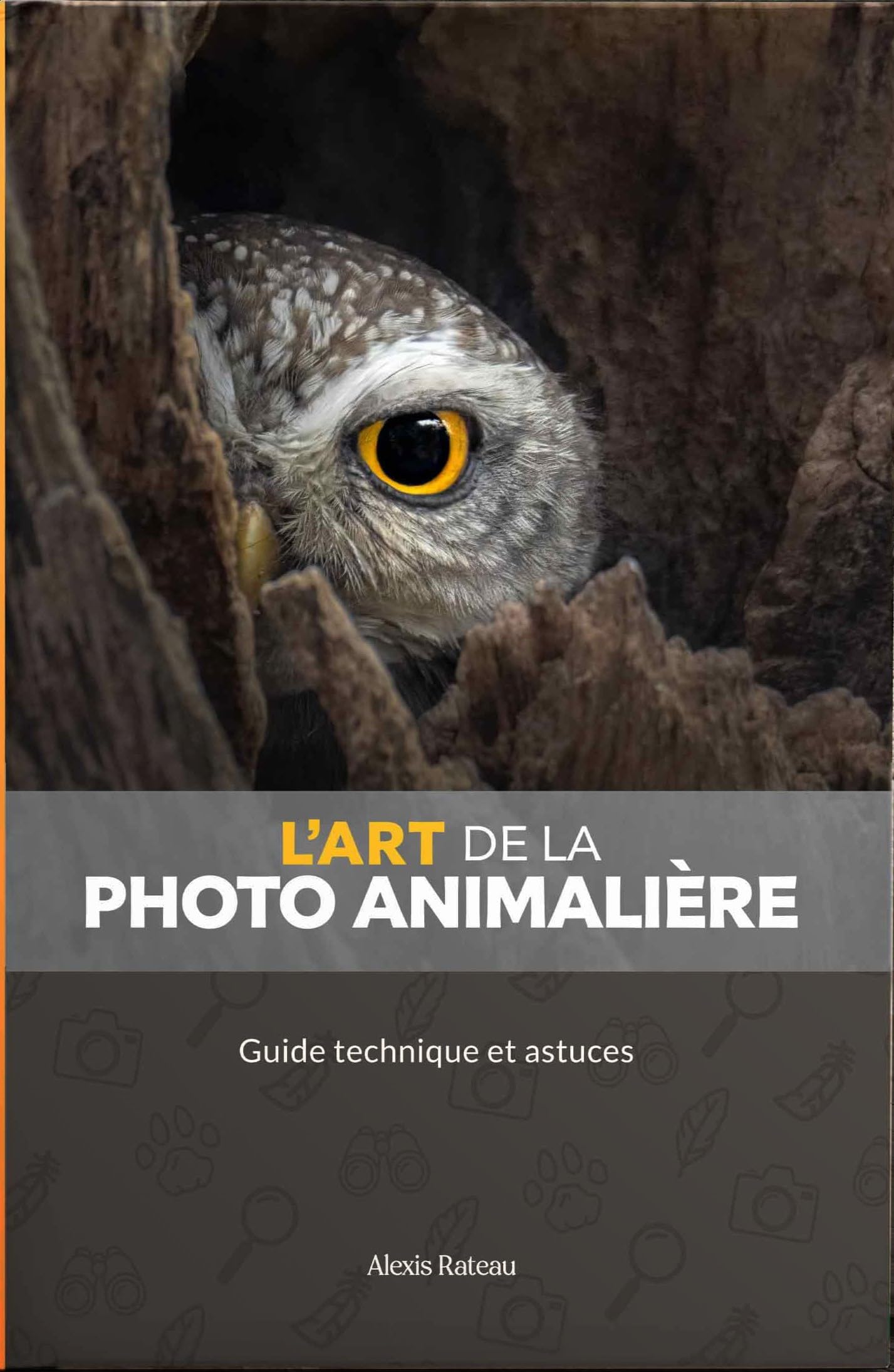 L'art de la photo animalière: Guide technique et astuces