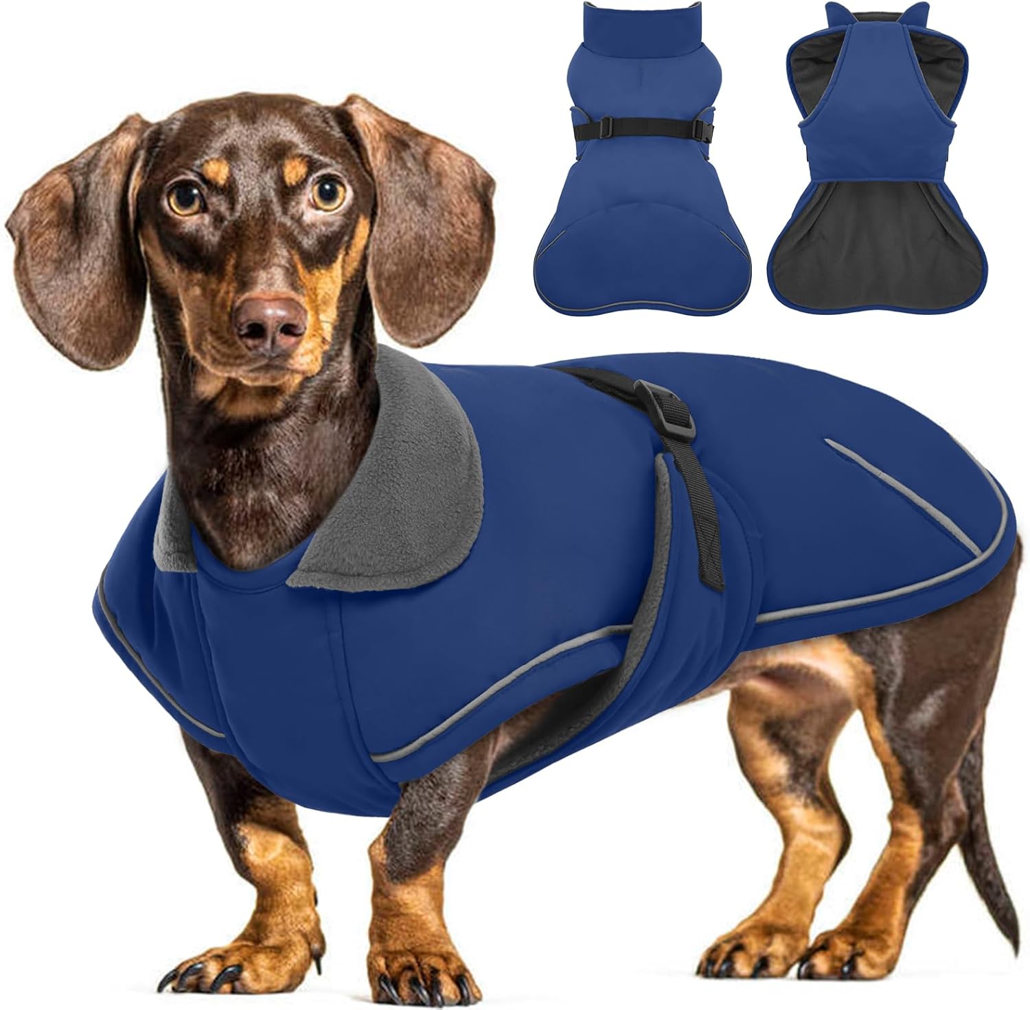 Cappotto invernale per cani bassotto impermeabile con fodera morbida e calda, design pullover per cani Salsiccia in miniatura nella stagione fredda Camminando, Neve, Avventure all’aria aperta