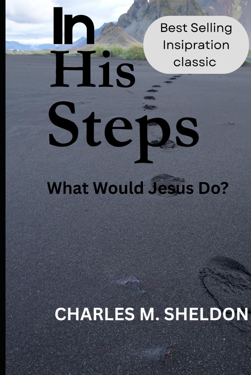In His Steps What Would Jesus Do?