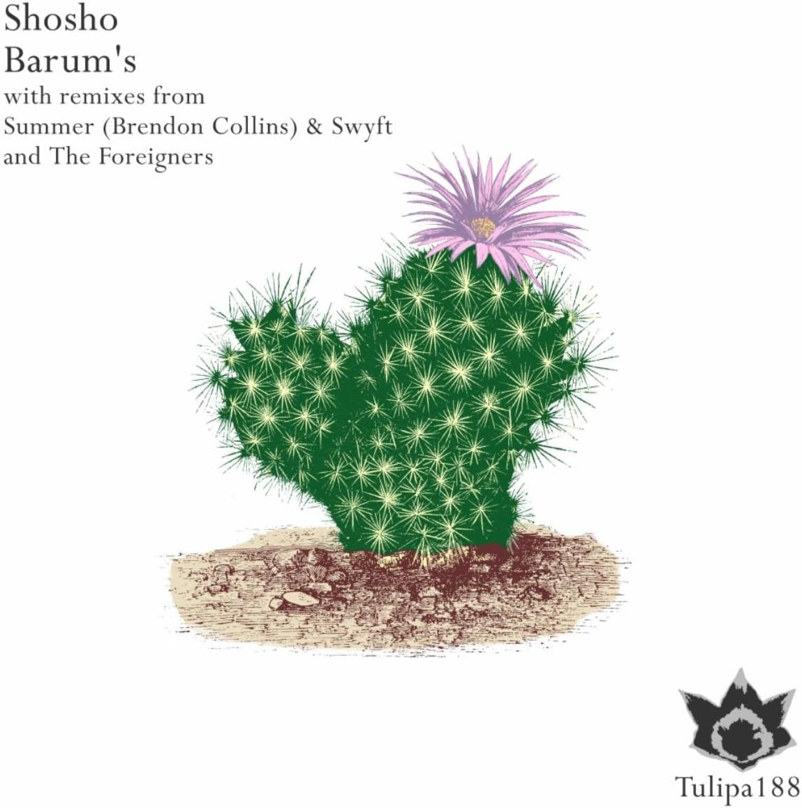 Barum's (The Foreigners Ritual Mix)