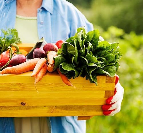 Miniatura 7 de Glee Mezcla para macetas tierra para macetas más ligera y plantas más grandes para cultivo en interiores y exteriores  Se expande a 25 cuartos de