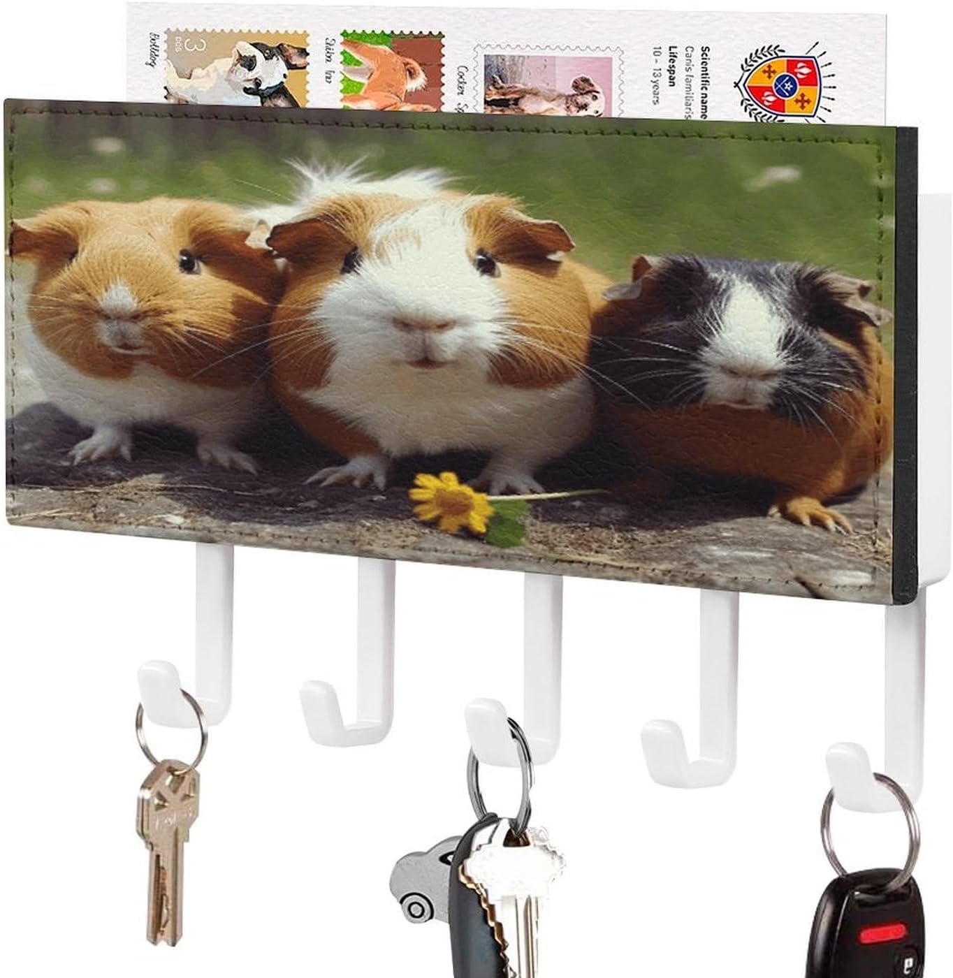 Leather Key Holder Wall Mount with 5 Hooks, Self-Adhesive Key Rack