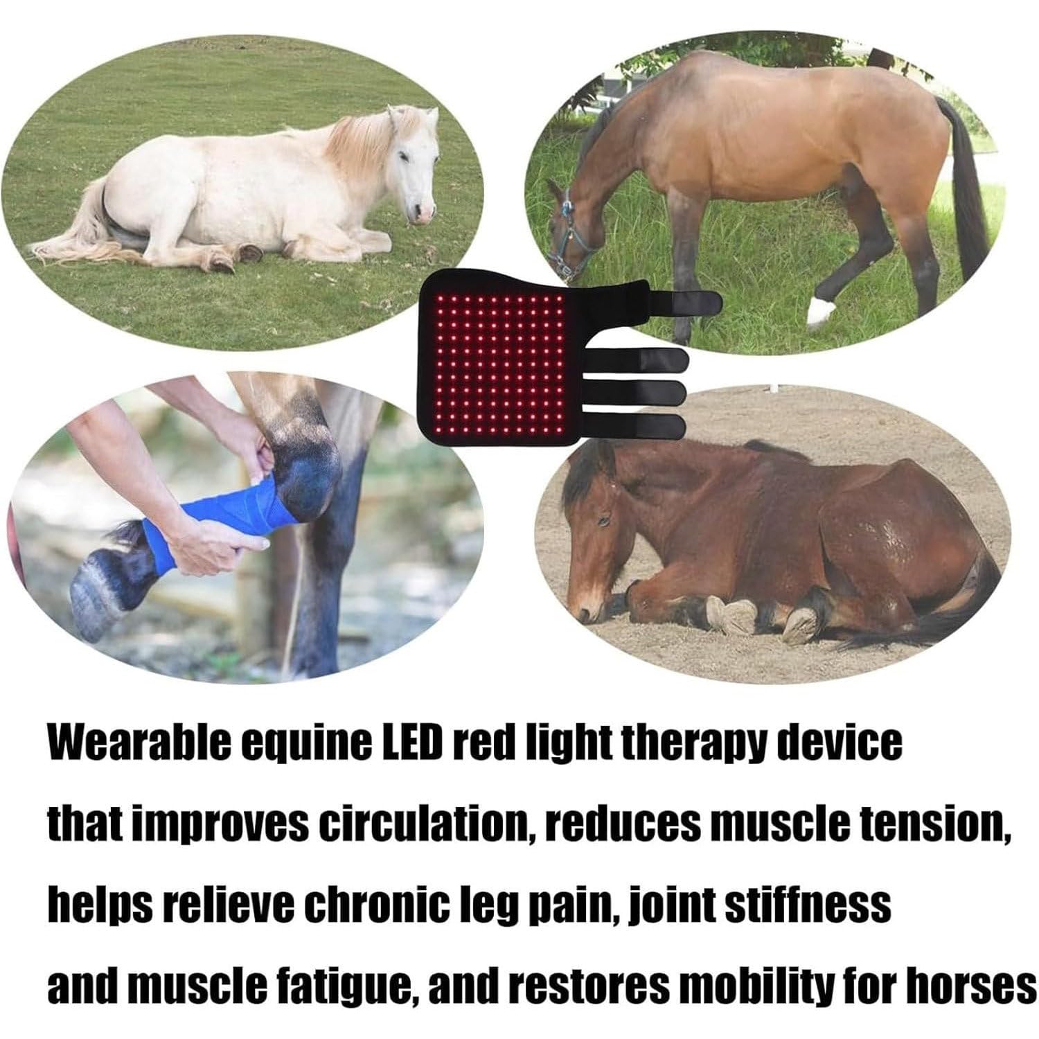 Appareil de luminothérapie LED Rouge pour Cheval, lumière Infrarouge Proche 660 et 850 nm pour la Jambe, guêtres de Soins infrarouges, Lampe Portable sans Fil pour la Jambe Gauche