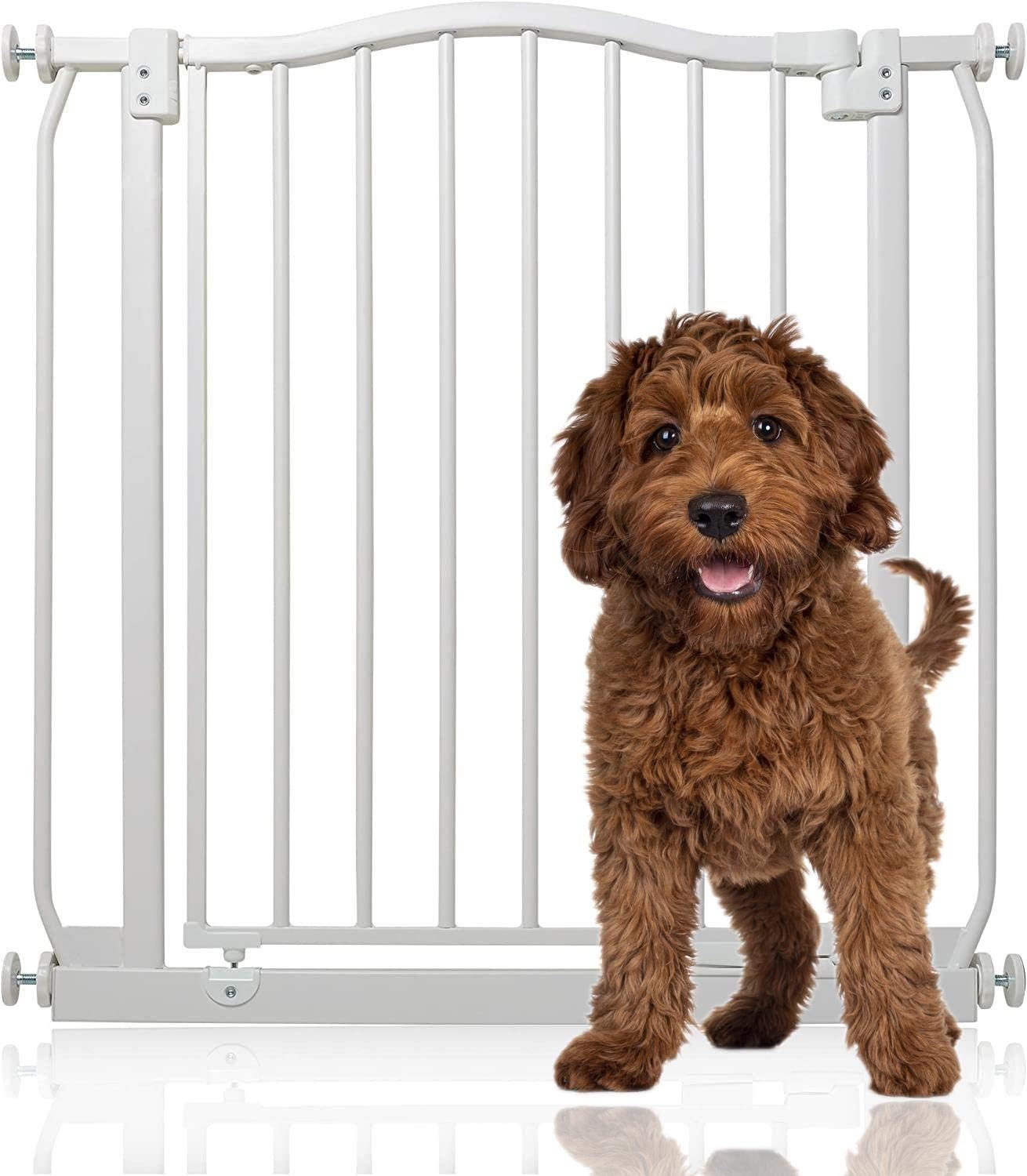 Bettacare Curved Top Dog Gate, 71cm 80cm, Matt White, Pressure Fit