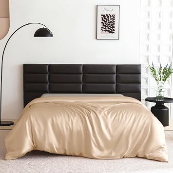 THXSILK 100% Silk Duvet Cover King Size, 22 Momme Mulberry Silk Comforter Cover, Cooling, Breathable, Easy Care Zipper Closure, 1 PC Duvet Cover King, Champagne