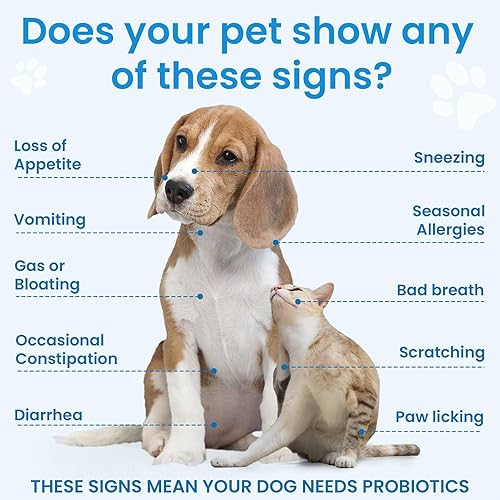 Miniatura 2 de Bighero Probióticos para perros - Probióticos para perros para la salud intestinal y la salud digestiva, apoyo al sistema inmunológico, diarrea y