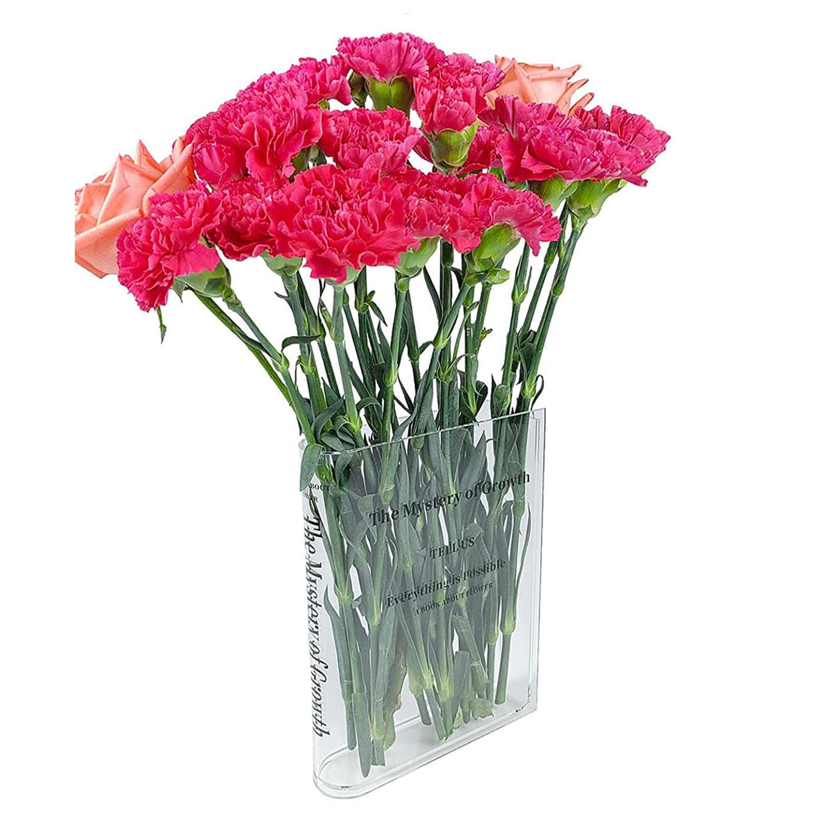 Amazon.co.jp: 本の形をした花瓶,クリアブック型花瓶 | 植物つぼ装飾