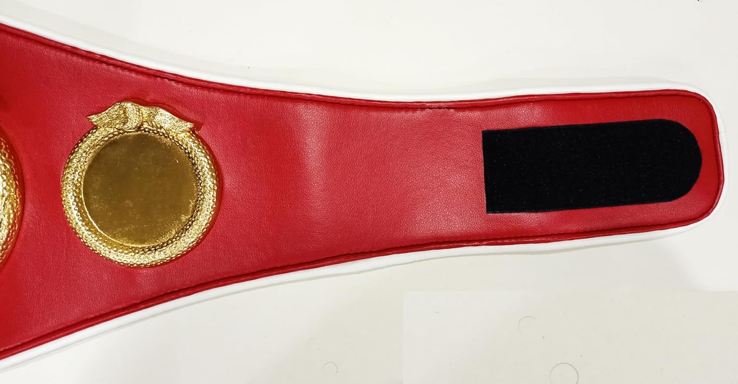 IBF Championship Title Belt | Adult Full Size | 4mm Heavy Zinc Alloy Gold Plates | Genuine Black Leather | International Boxing Federation Premium Collector Edition