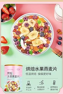 烘焙水果坚果酸奶燕麦片500g Oats