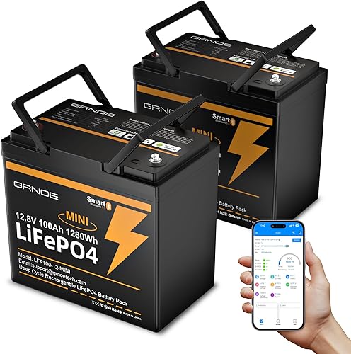 Miniatura 13 de Mini LiFePO4 - Batería de litio de 12 V 100 Ah con Bluetooth, BMS inteligente, más de 15000 ciclos profundos, 20.9 libras, ligera, diseño compacto