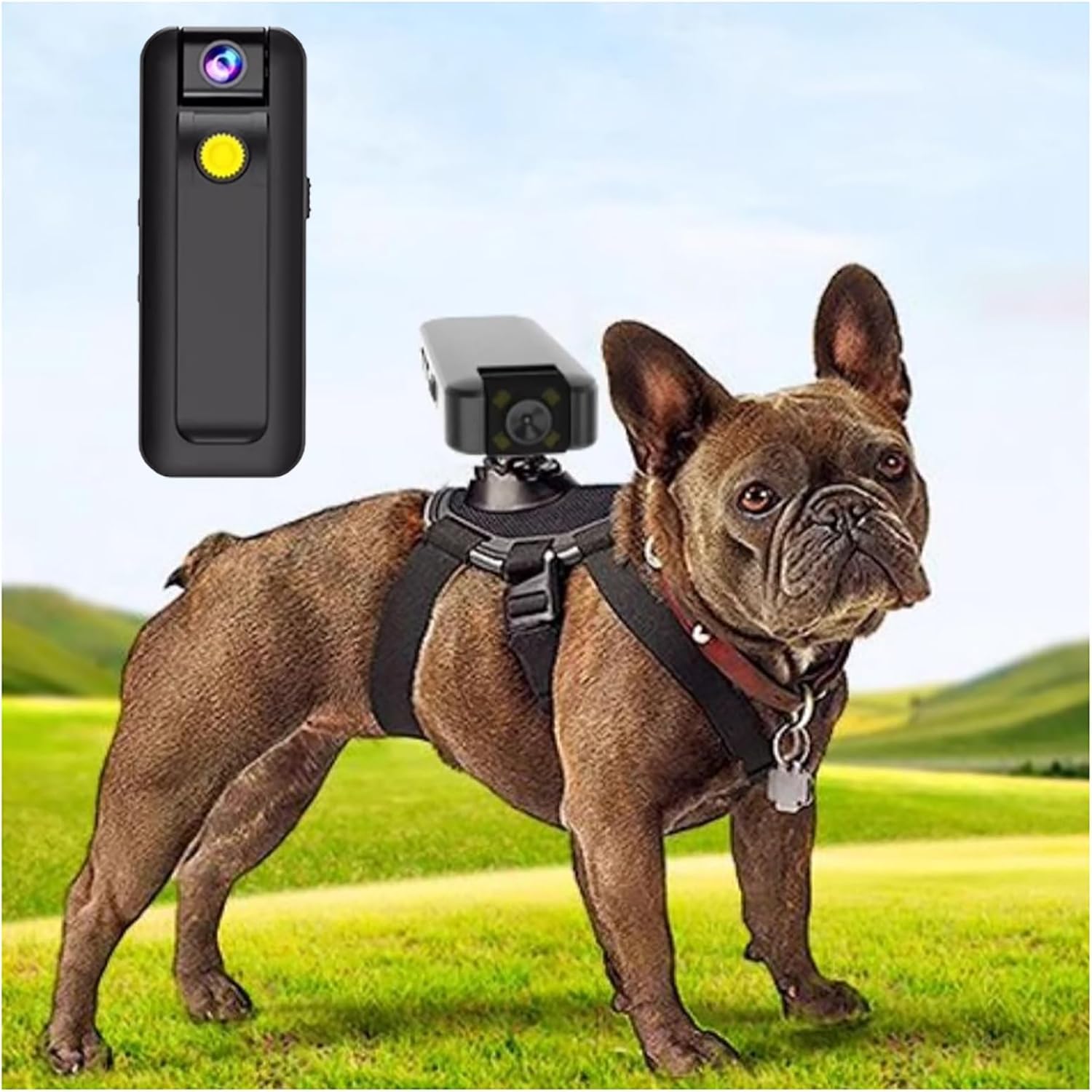 Pet Collar Camera, Dog Harness Camera, Live Viewing on Mobile Phone, WiFi Version for Dogs, Remote Operation, Strap Fixing Bracket, for Indoor/Outdoor