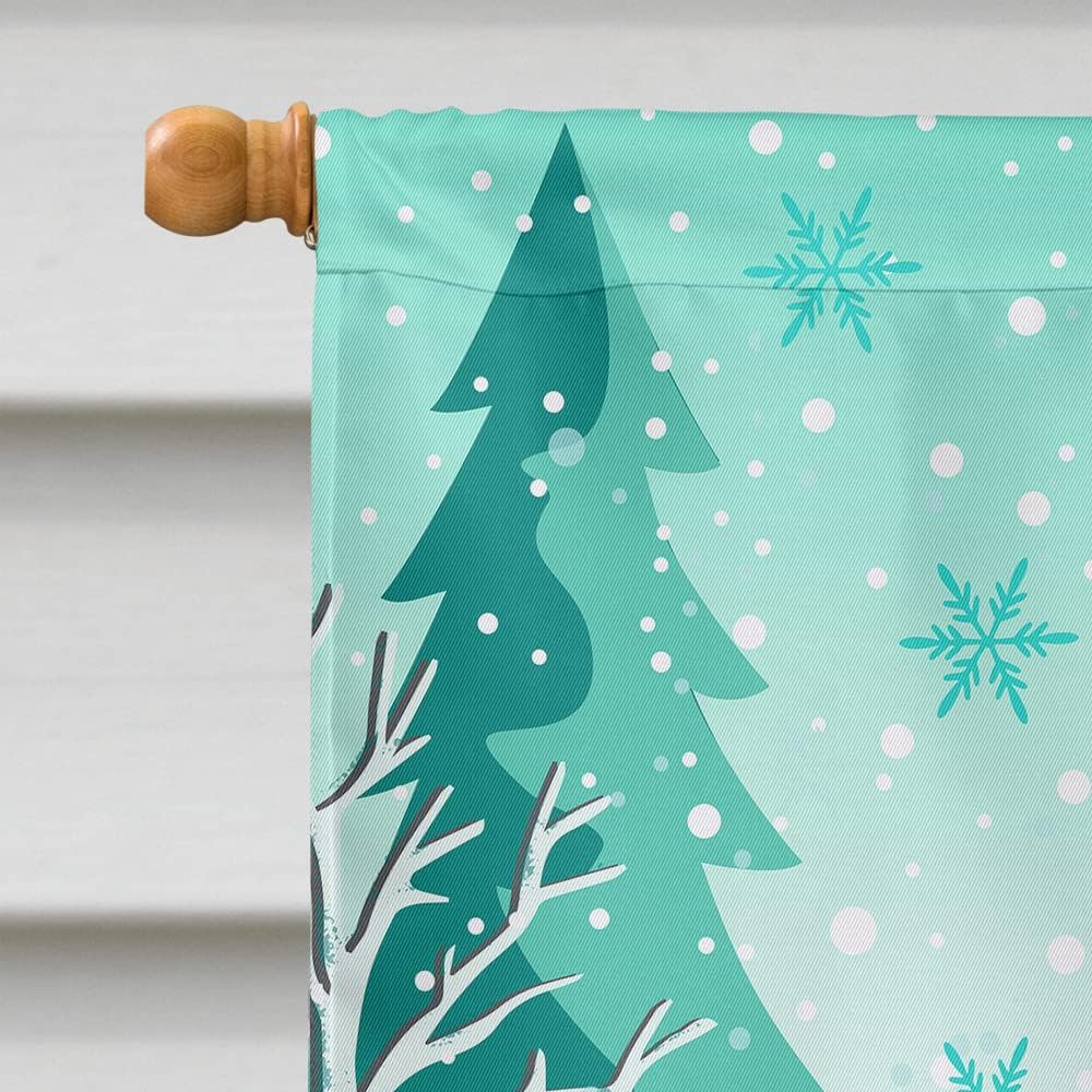 Caroline's Treasures VHA3030CHF Merry Christmas Dachshund House Flag Large Porch Sleeve Pole Decorative Outside Yard Banner Artwork Wall Hanging, Polyester, House Size, Multicolor