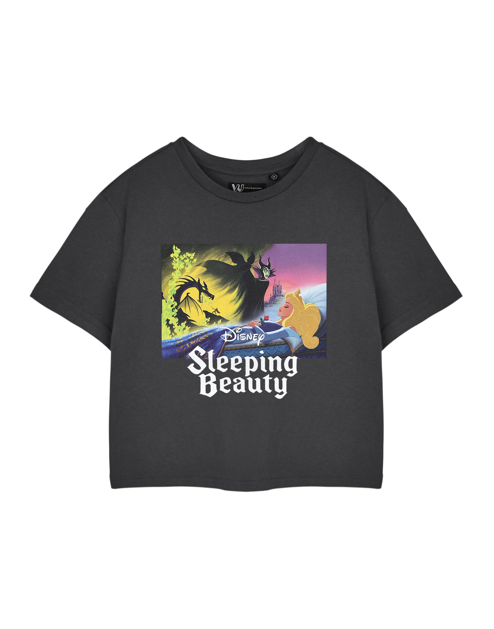 Disney Women's Grey Cropped Short Sleeved T-Shirt | Charcoal | Official In | Size: Medium