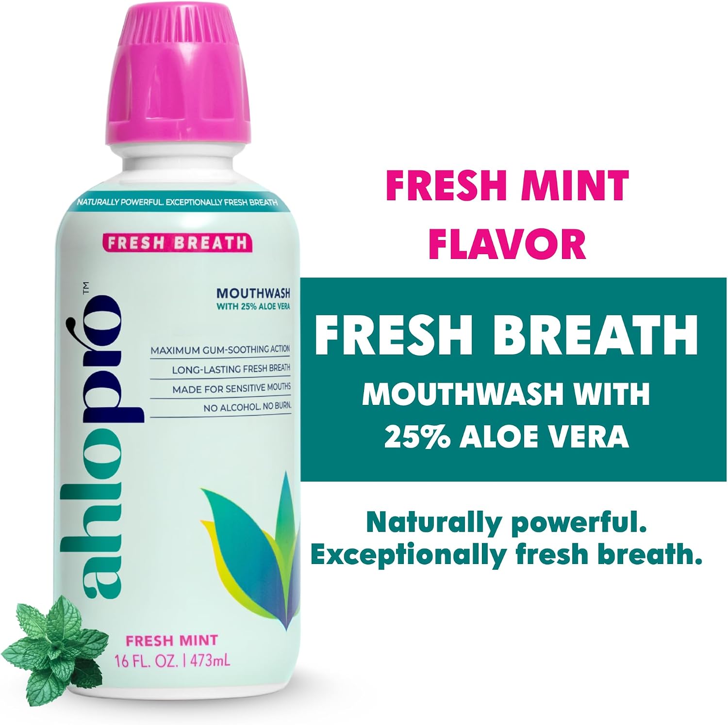Fresh Breath Mouthwash – Alcohol-Free Oral Rinse with Aloe Vera, Gentle for Sensitive Mouths, Fresh Mint Flavor, Long-Lasting Breath Freshness, No Burn (16.9 Fl Oz (Pack of 2))